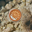 Face & Body Cream SPF30