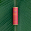 Colored Balm SPF20